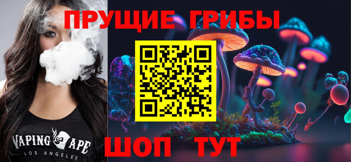 Кропоткин  Галлюциногенные грибы мицелий  Псилоцибиновые грибы Psilocybe  Вход с VPN 