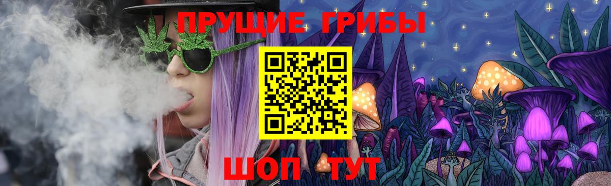Псилоцибиновые грибы Cubensis Кропоткин